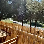 Estudi Swing Pals